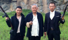 杨树林电视剧,笑傲江湖的喜剧传奇